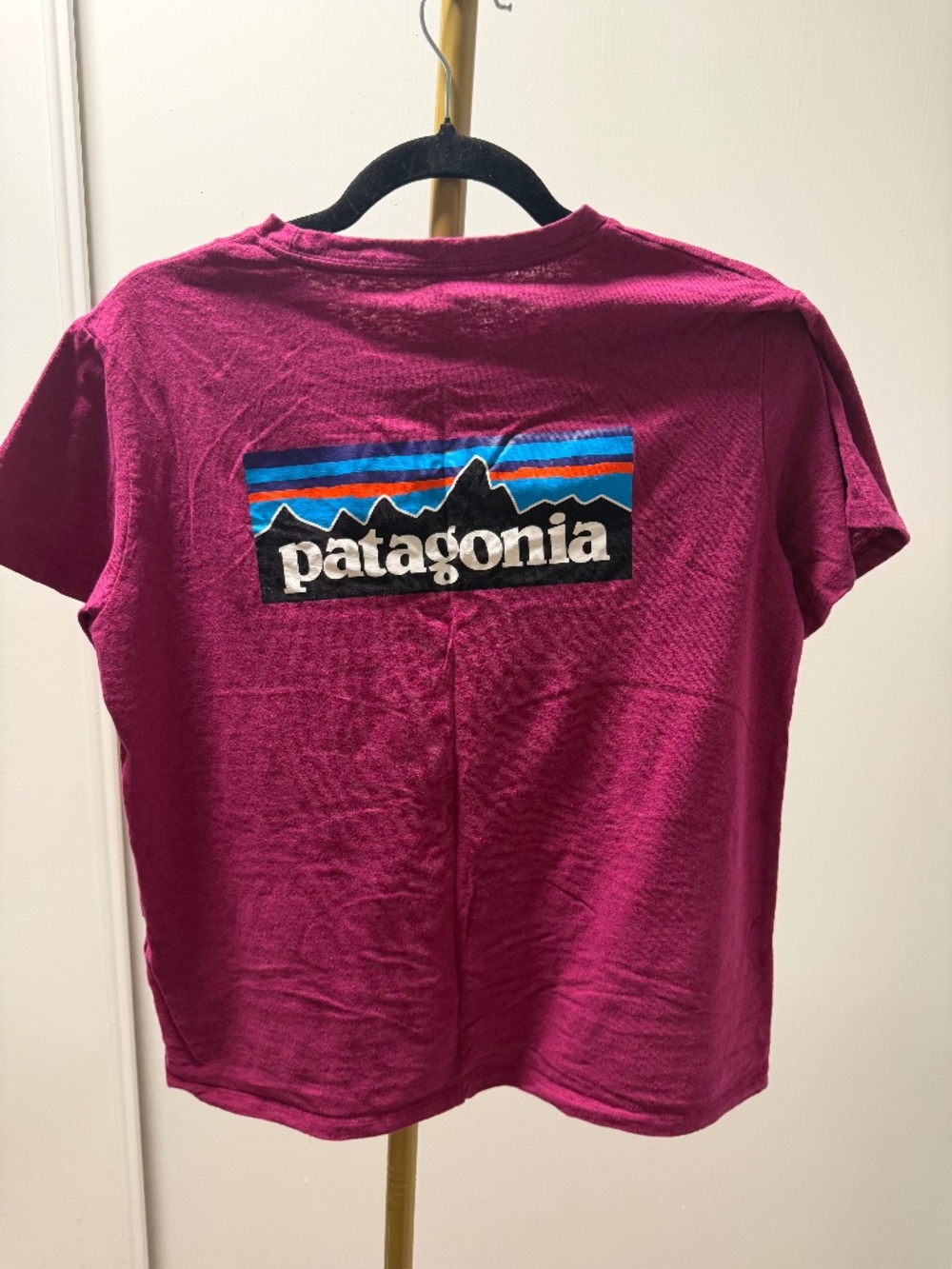 Patagonia Women's P-6 Logo Responsibili-Tee
